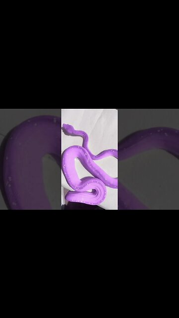 Little Snake 🫣🐍