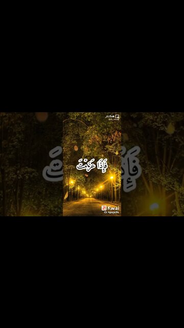 ١٢ نوفمبر، ٢٠٢٢