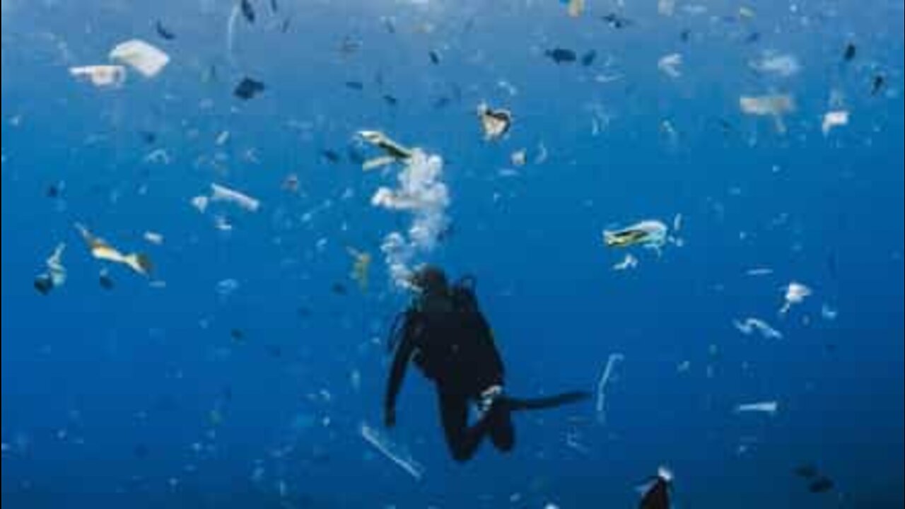 Mergulhadora nada num oceano de lixo