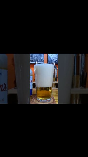 Hamms American Classic Premium Beer #shorts #shortvideo #short #beer