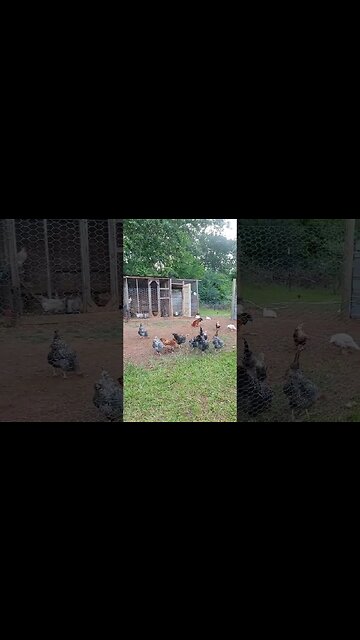 Nothing goes to waste.