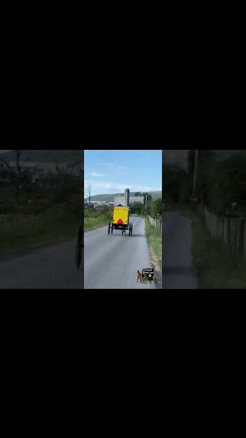 Yellow Topper Amish Buggy