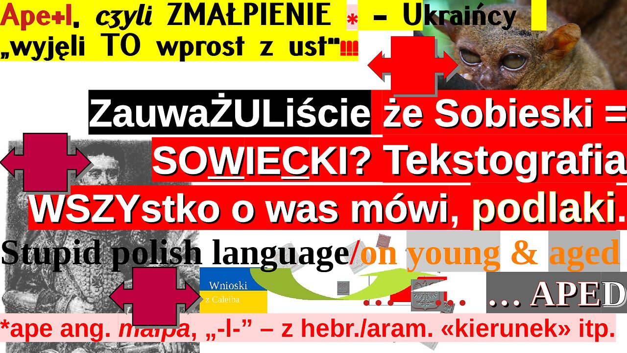 Ape+l, **czyli ZMAŁPIENIE** - 3. Ukraińcy wyjęli TO wprost z ust |KRZYŻÓWKA-SZYFRÓWKA bo z ang.,+l”