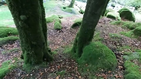 safely navigating back to a Riverside Wildcamp. Dartmoor 6th Oct 2023