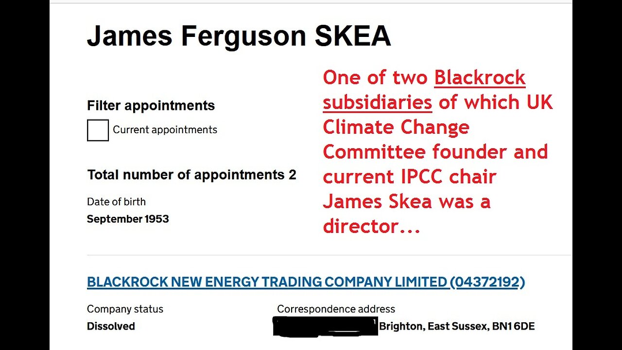 Blackrock Founded UK Govt. Committee On Climate Change: James Skea Rebecca Heaton Vested Interests