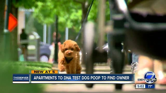 Apartments to DNA test dog poop to find owner