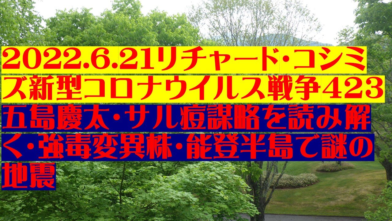 2022.6.２１リチャード・コシミズ新型コロナウイルス戦争４２３