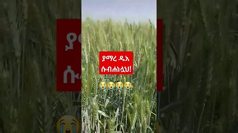 ደስ የሚል ዱአ #ኢትዮጵያ #religion #viral #ሰበር #motivation #quran #viral #ድንቅልጆች #agriculture