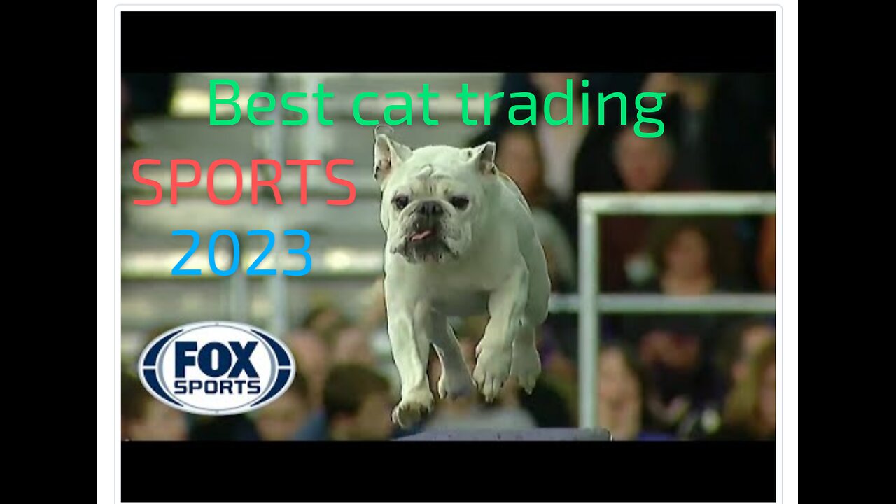 Watch Rudy the Bulldog crush the 2023 WKC Masters Agility course | FOX SPORTS