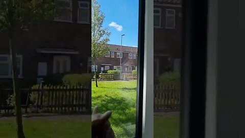 Nice day it's looking like 👍 and comment and subscribe to my channel 👌