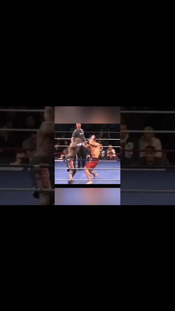 crazy mma #mma #ninja #exceso #ufc #crazy