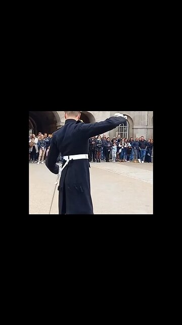 Horse copys guard they both stamp their foot #