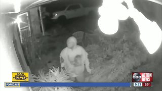 'Prowler' caught on video peeping through window in Largo