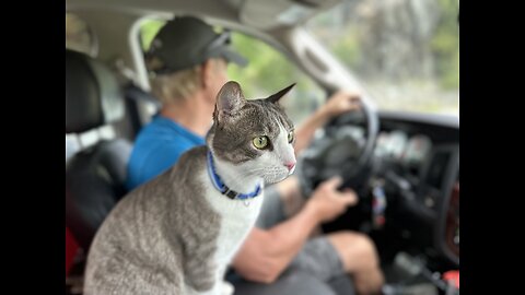 First day of camping in BC