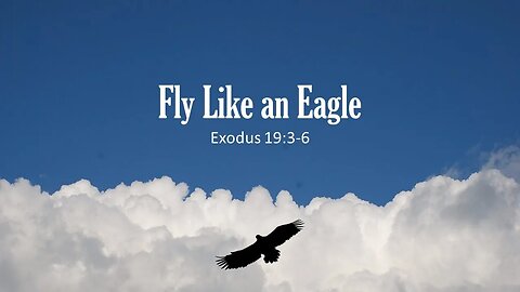 Fly Like an Eagle