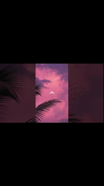 Fly the freedom ❤️🌈