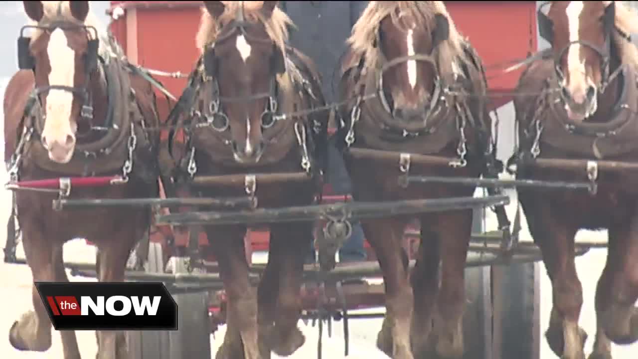 Federal grant to help fund project aimed to make roads safer for Amish community in Geauga County