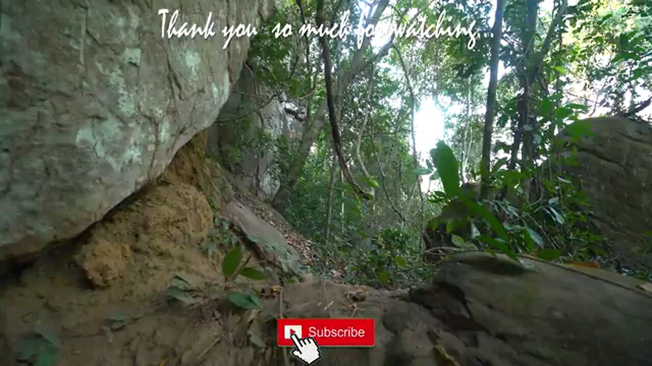 Jungle Shelter Building In Beautiful Natural Envionment 😍