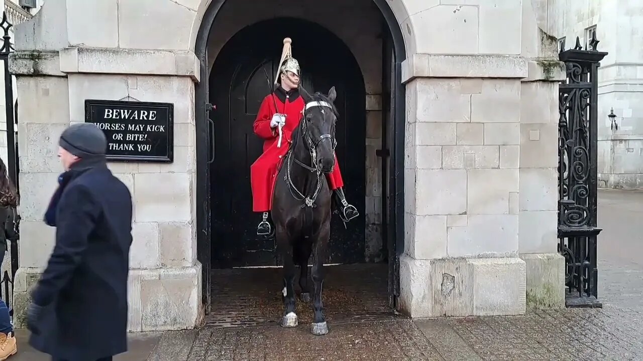 A bang gets their attention #horseguardsparade