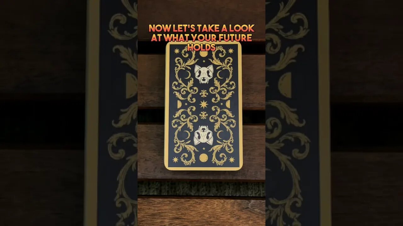 🎃6 Days🎃 Go cuddle a kitten❤️ #cat #blackcat #leonthecatdad #tarot #halloween