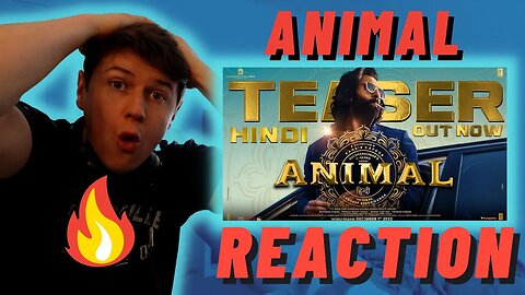 🇮🇳ANIMAL - IRISH REACTION - Ranbir Kapoor