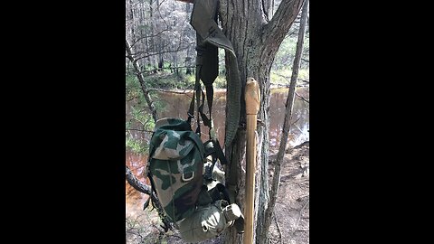 BACK IN THE PINES! First Fall Hike