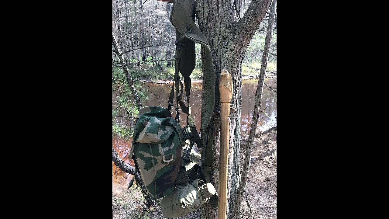 BACK IN THE PINES! First Fall Hike