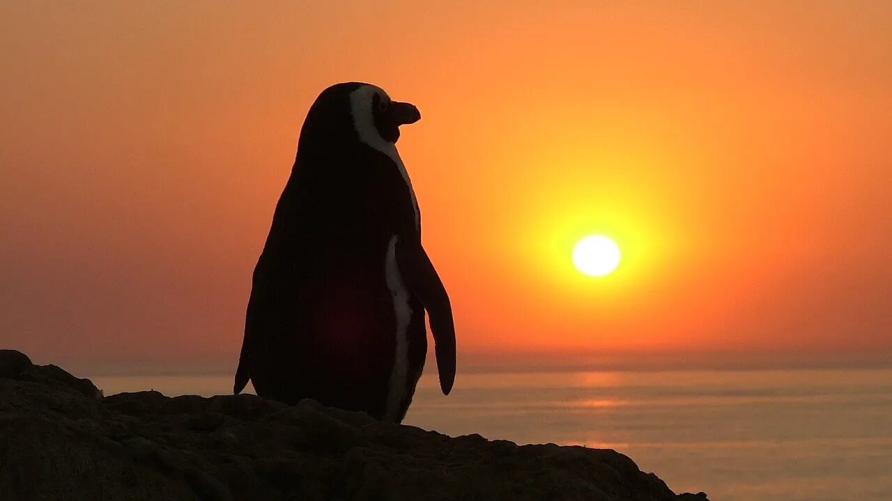 OUR LIVING HERITAGE - Managing Namibia's Marine Resources