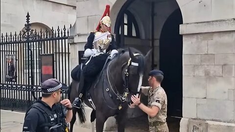 Both kings guards and police tell tourist to get back #horseguardsparade