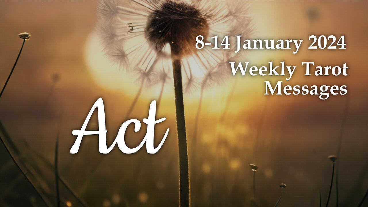 8-14 January 2024 Weekly Tarot Messages - Act