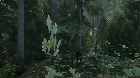 Unreal Engine 5 Look at this Old Forest In Kingdom Come Deliverance Beta