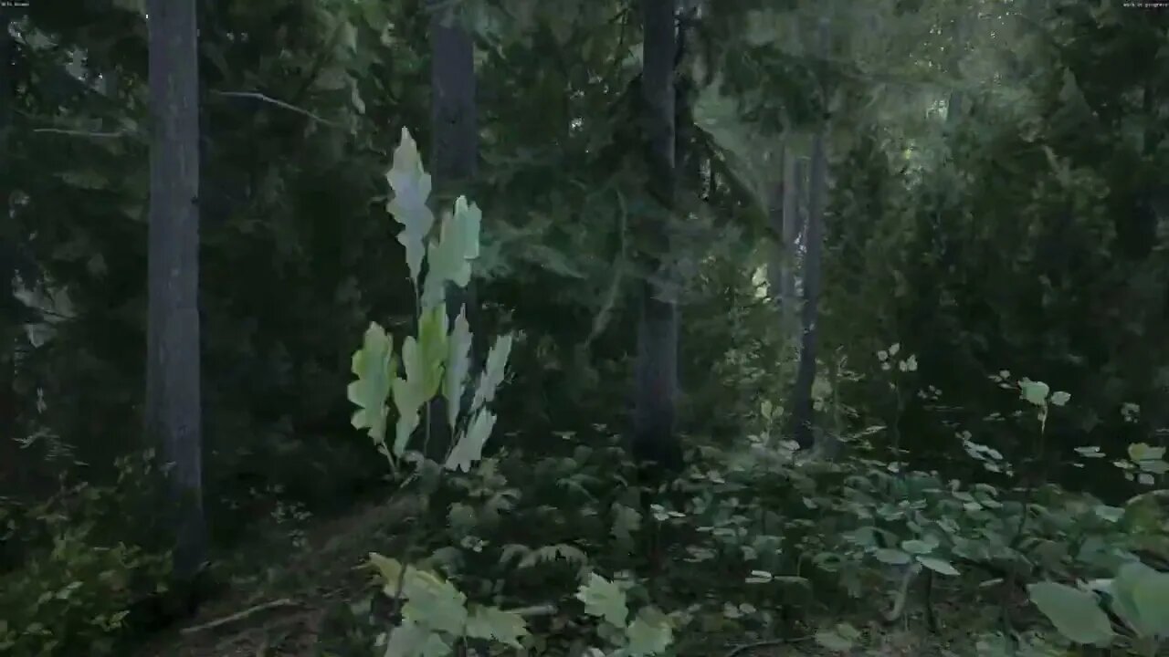 Unreal Engine 5 Look at this Old Forest In Kingdom Come Deliverance Beta