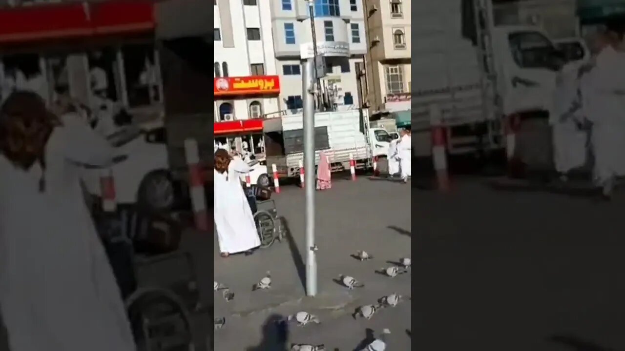 @discover-Islam-With-us #viral #tranding #foryou #madinastreets #kabootar #ytviral #ytstudio #1m