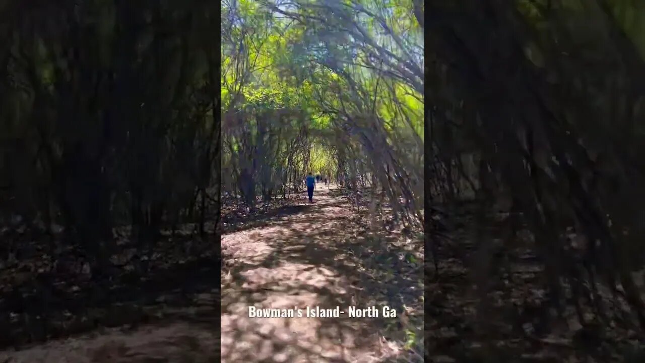 #Hiking trail during #spring in north #Georgia called Bowman’s Island. Kinda looks like a #jungle