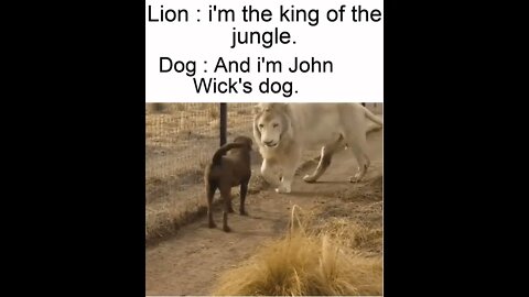 There be a new king around here