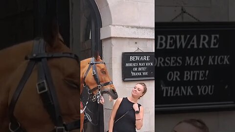 I have big teeth #horseguardsparade