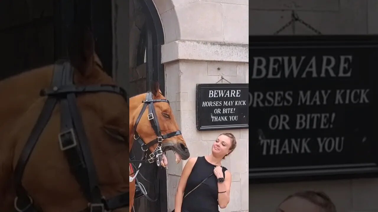 I have big teeth #horseguardsparade