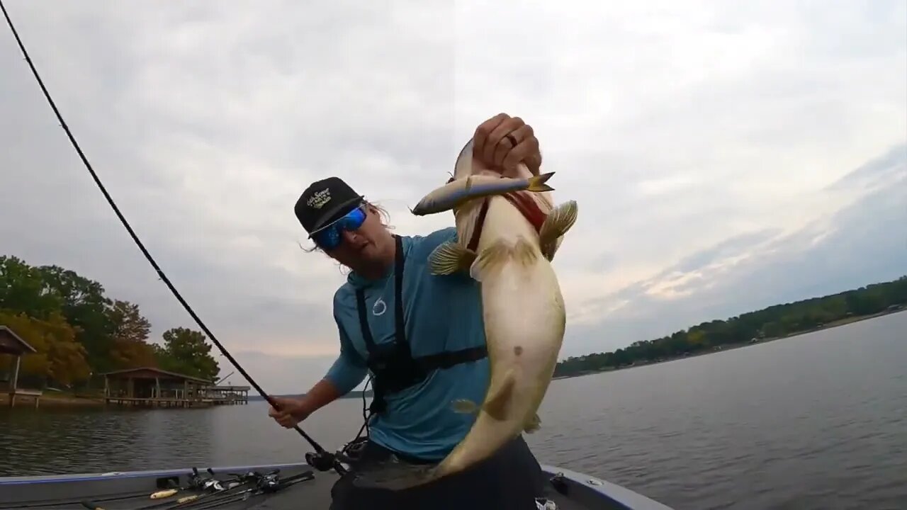 Huge Swimbait Catches GIANT Bass (Ben Milliken Cast-to-Catch)