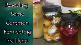 Solving Common Fermenting Problems