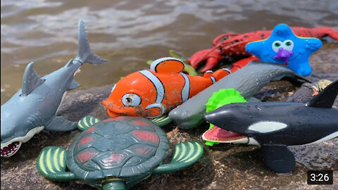 Sea Animal Toys This Summer at the Shore