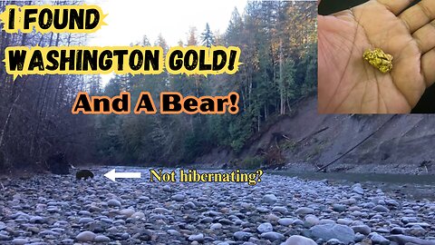 Rusty Bottoms Gold Prospector: Let's Break Quartz For Gold #gold #goldprospecting