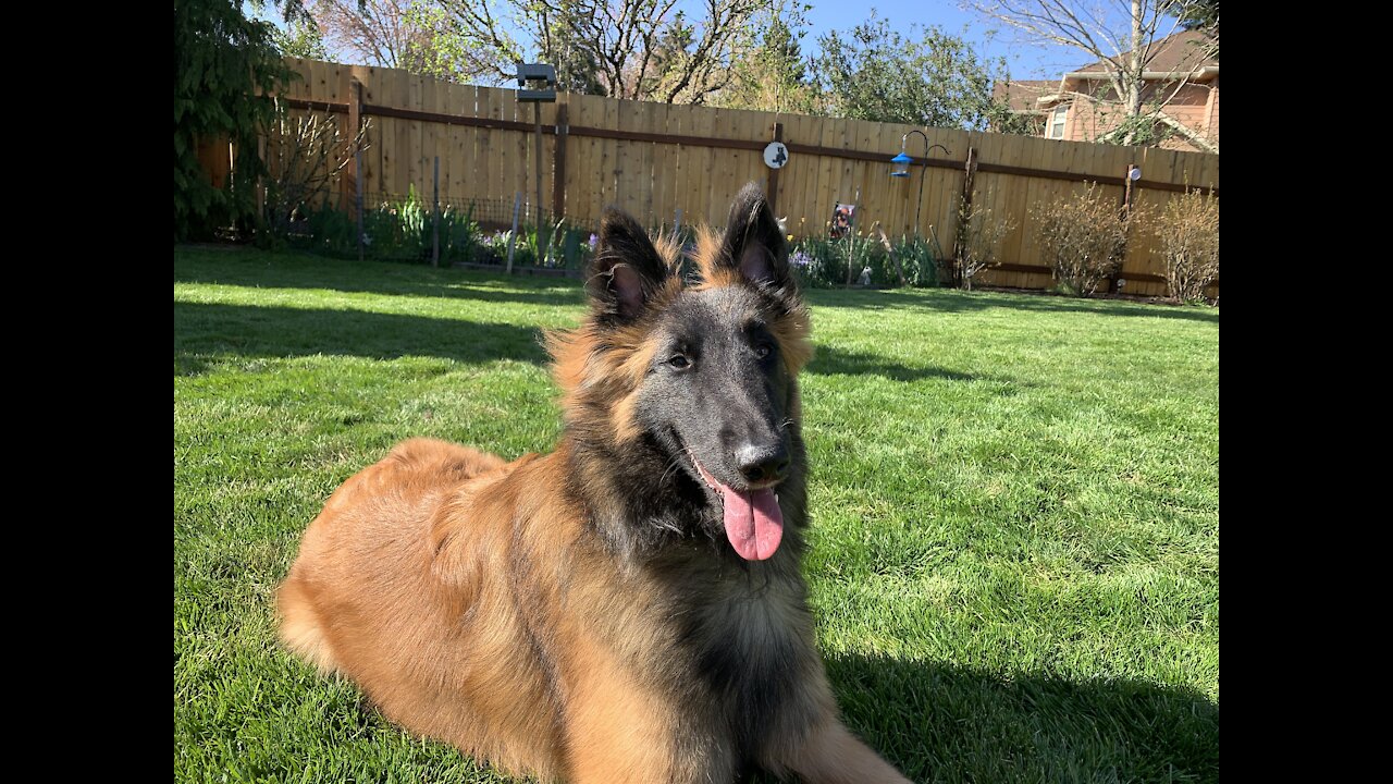 Fred Outside Training 2