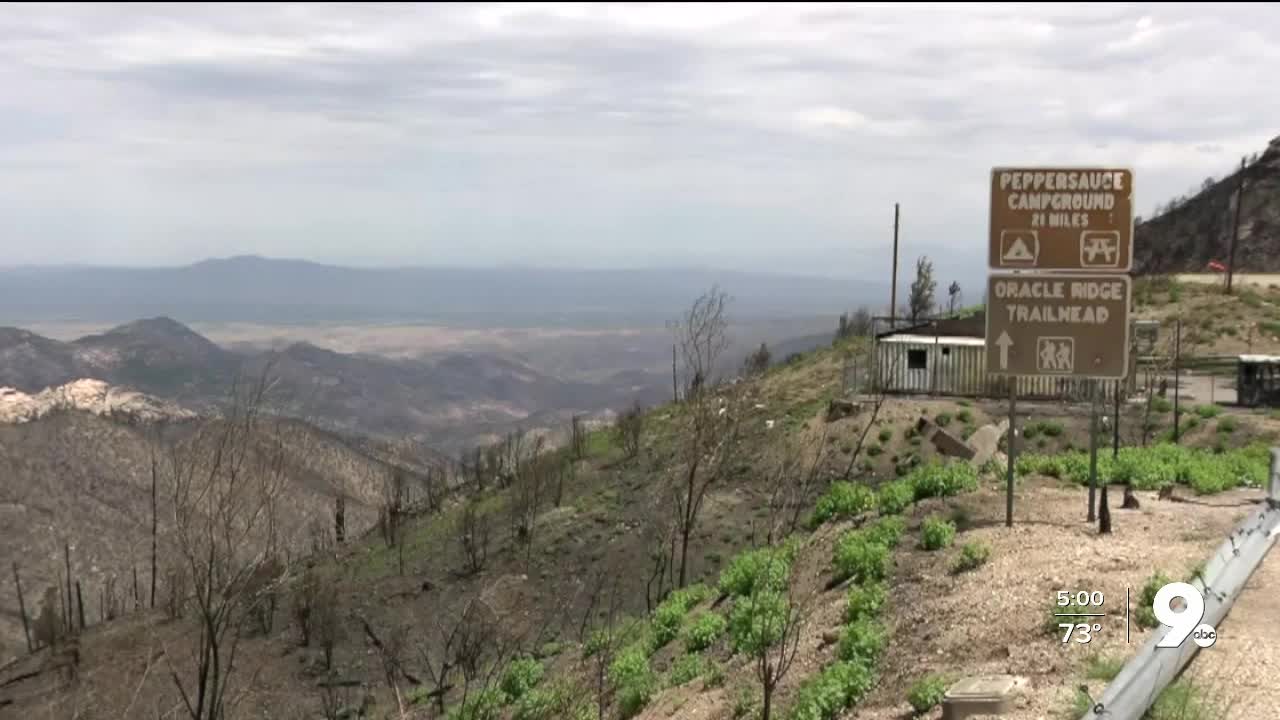 FINAL UPDATE: Bighorn Fire burned 119,978 acres, 100% contained