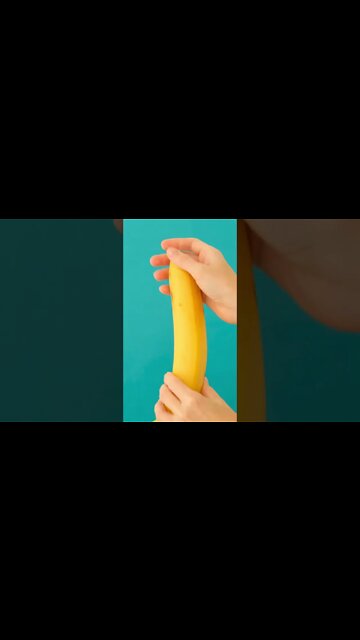 𝗧𝗵𝗲 𝗟𝗮𝘀𝘁 𝗘𝗿𝗲𝗰𝘁𝗶𝗼𝗻 You'll Ever Have!?