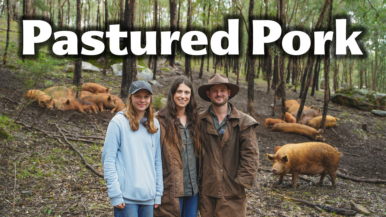 This Couple Left the City to Raise the Tastiest Pastured Pork, Chicken and Beef!