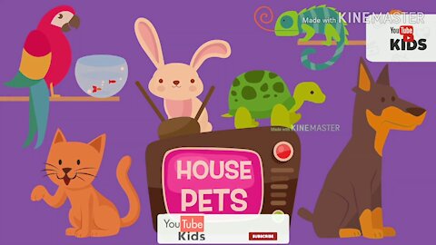 House Pets! | videos for babies, toddlers, kids | Little Genius