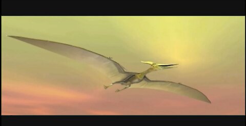 Pteranodons: The Original Thunderbird