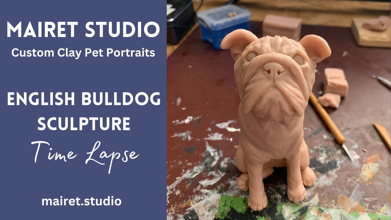 Sculpting an English Bulldog