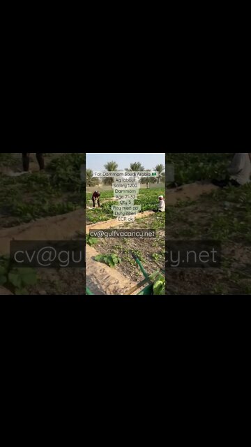 Green 💚 House Helper job majra helper #shorts #job #gulfvacancy #virul