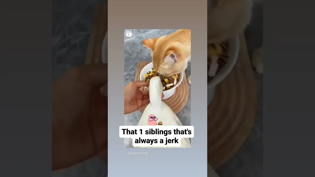 we all have that 1 sibling